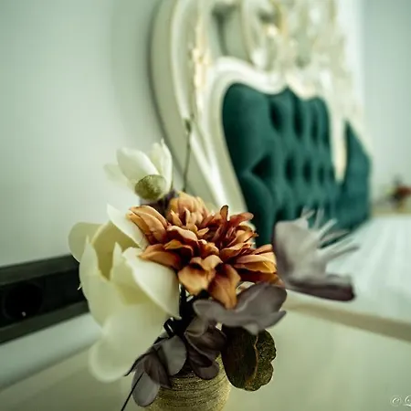 Massimo Luxury