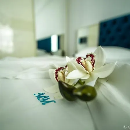 Massimo Luxury *